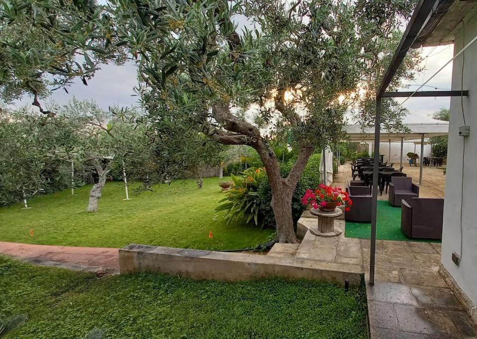Countryhouse Gli Ulivi Modugno Exterior photo