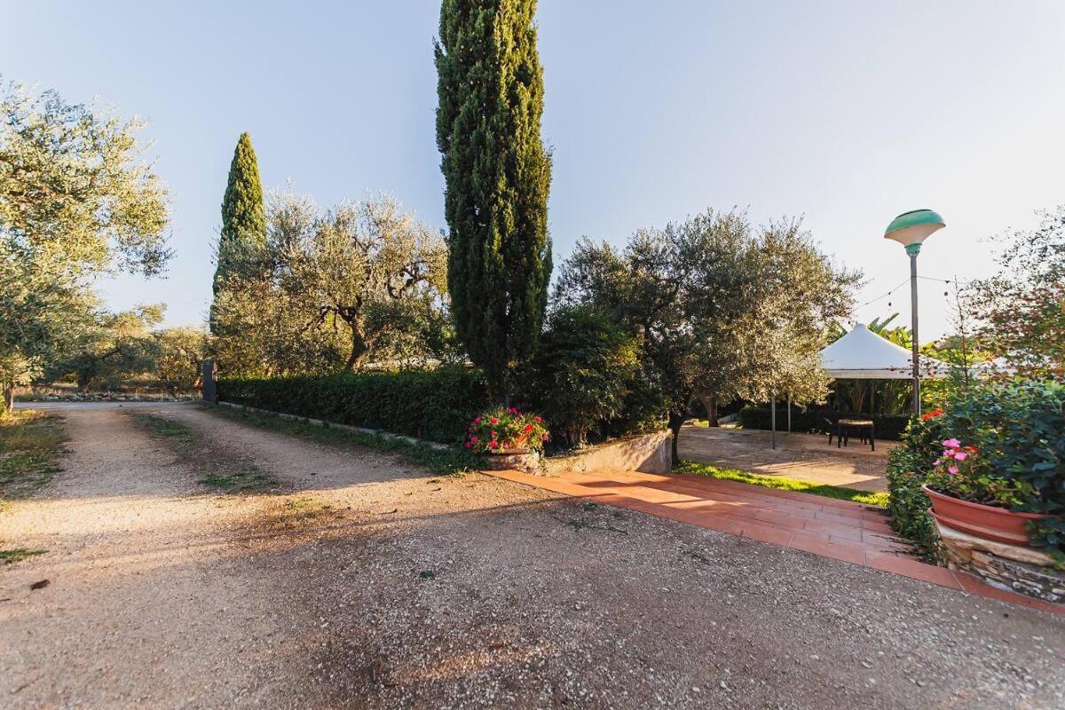Countryhouse Gli Ulivi Modugno Exterior photo