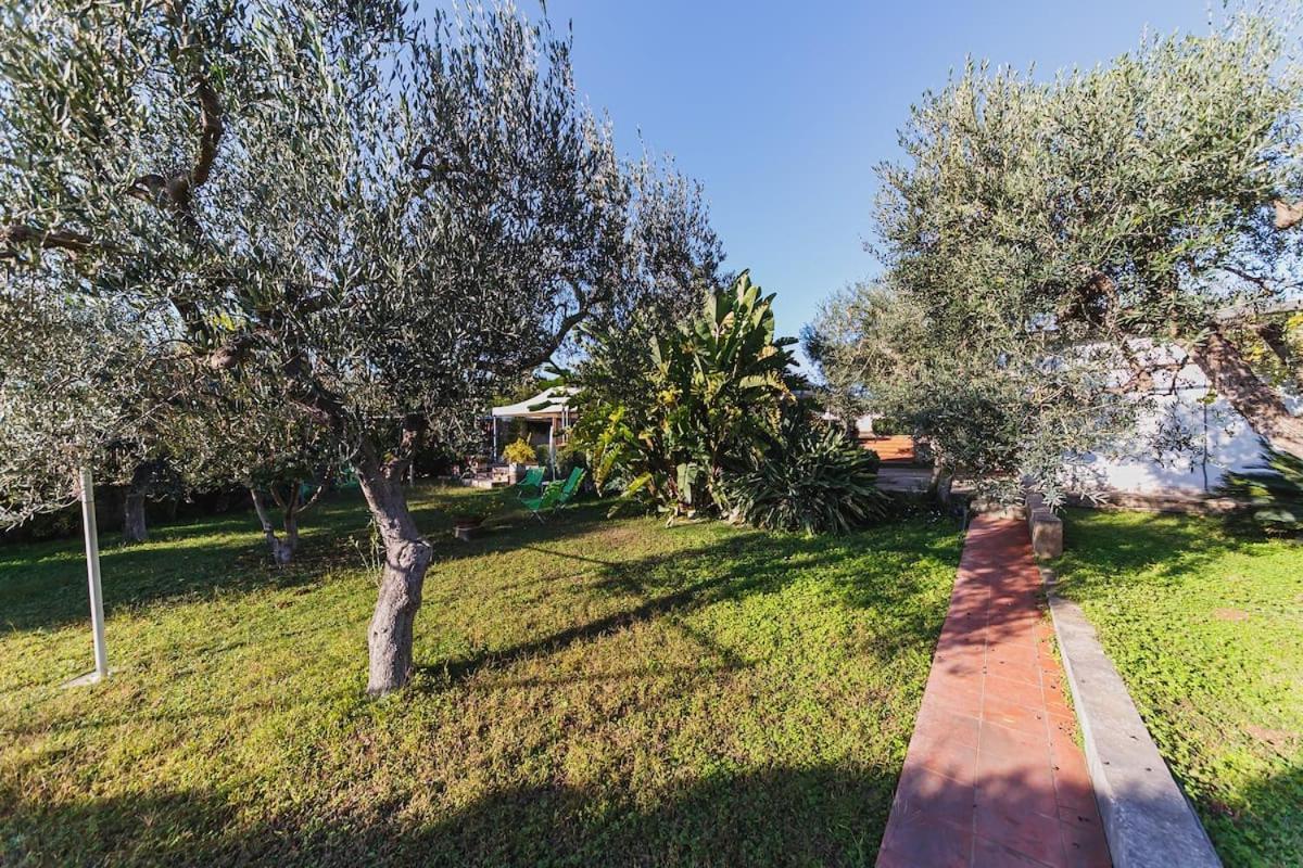 Countryhouse Gli Ulivi Modugno Exterior photo