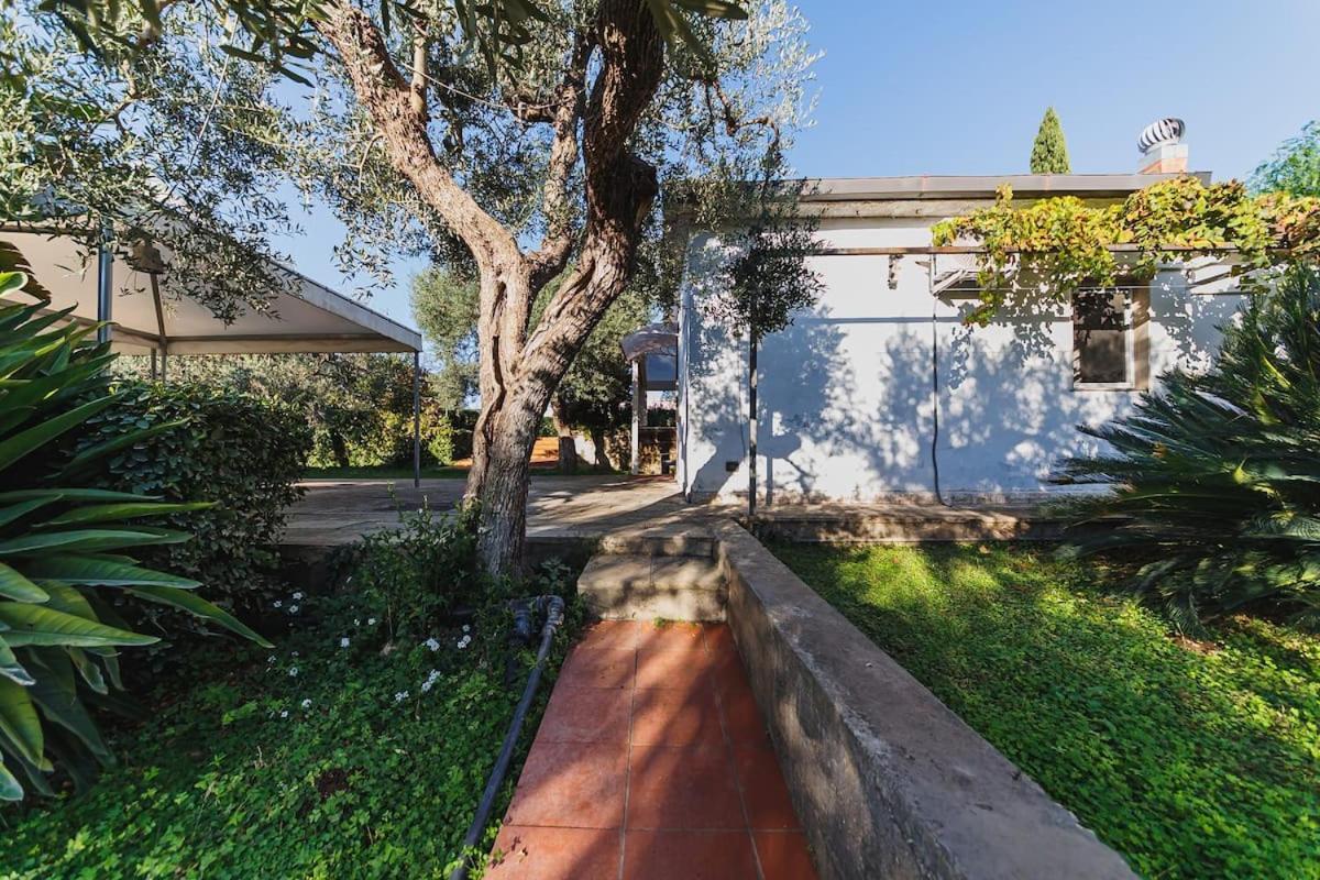 Countryhouse Gli Ulivi Modugno Exterior photo