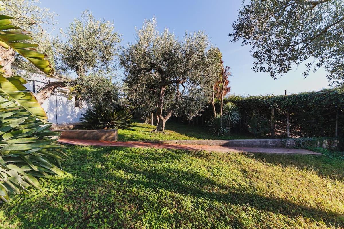 Countryhouse Gli Ulivi Modugno Exterior photo